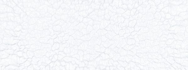 ELELEMTS WHITE CRACK GLOSSY-45×120