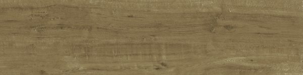 BRANCH-OAK-25X100-PZ-4