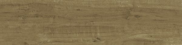 BRANCH-OAK-25X100-PZ-4